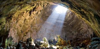 Le_Grotte_di_Castellana-la_grave