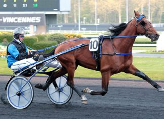 Timoko6