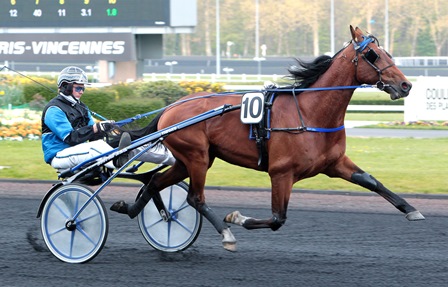 Timoko6