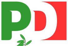 logo20pd