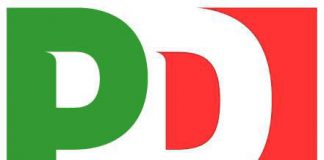 logo20pd